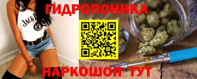 apvp Пушкино