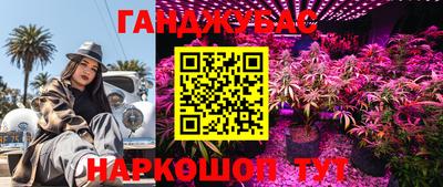 apvp Пушкино