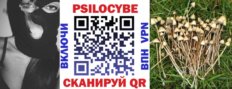 как найти закладки  Чайковский  ссылка на мегу ссылка  Псилоцибиновые грибы GOLDEN TEACHER 